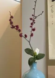 ちょやさん