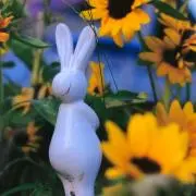 よしいとの画像