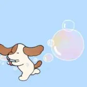 ｓａｌｉの画像