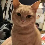 レオぽん