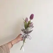 とうもろこしの画像