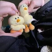 ぽむの画像