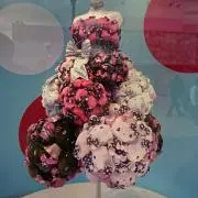 ぷたの画像