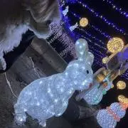 こにの画像