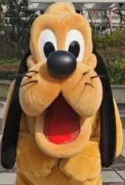 AKINDO1363の画像