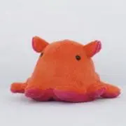 mugiの画像