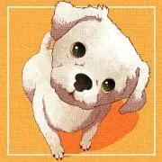 るーきゃんの画像