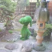コダックの画像