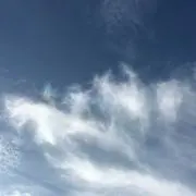みずいろちょうちょ