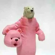 しろくまの画像