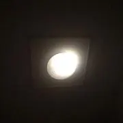ゴック　フォンの画像