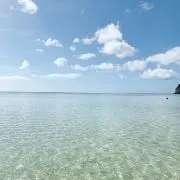 さくちゃん