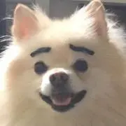 ゆうこの画像