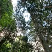 18naturalの画像