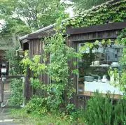 MASHUの画像