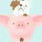 Kamo 。の画像