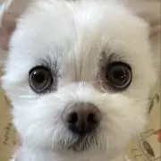イガイガ