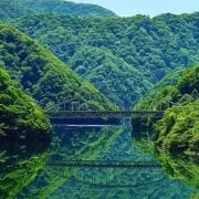 じんのの画像