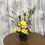あんず⭐︎プロフ読んで下さいの画像