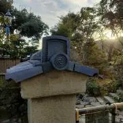 YZの画像