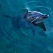 ソラ