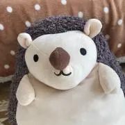 ハリ〜☆の画像