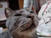 カイ