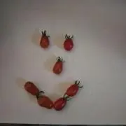 でこぽんの画像