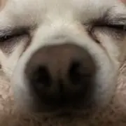 TAKA4の画像
