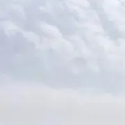 ミキグミの画像