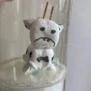 maNEの画像