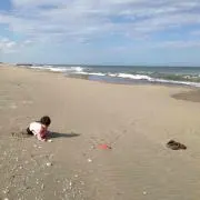 さとぞうの画像