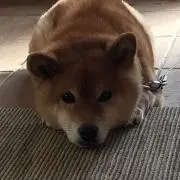 atsの画像