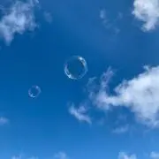 えいりお