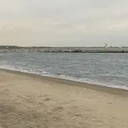nの画像