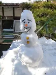 たおの画像