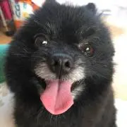 くまタロ