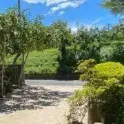 あかりの画像