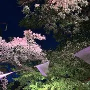 ゆきずの画像