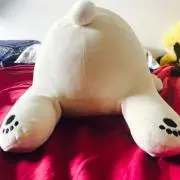 みちは