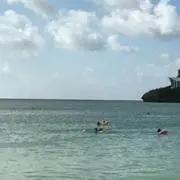 やよい