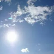 たま
