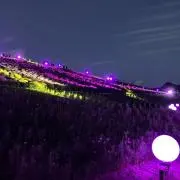 そるとの画像