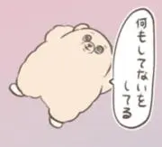 あさひの画像
