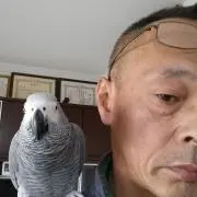 よっちゃんの画像