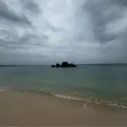 もちの画像