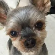 なお