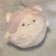 りんりん様専用ページ - メルカリ