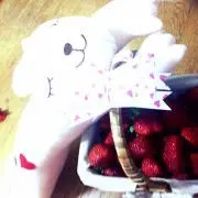 まるまるの画像