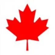 Toronto【基本24時間以内発送】の画像
